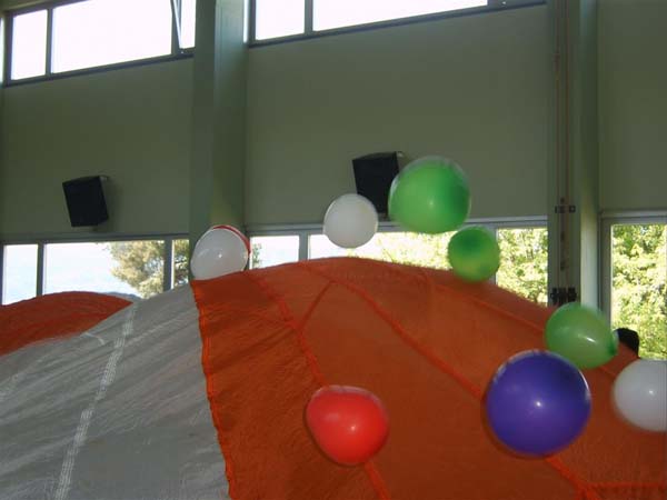 10_6_06_buchsbewegt (120)