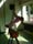 10_6_06_buchsbewegt (9)